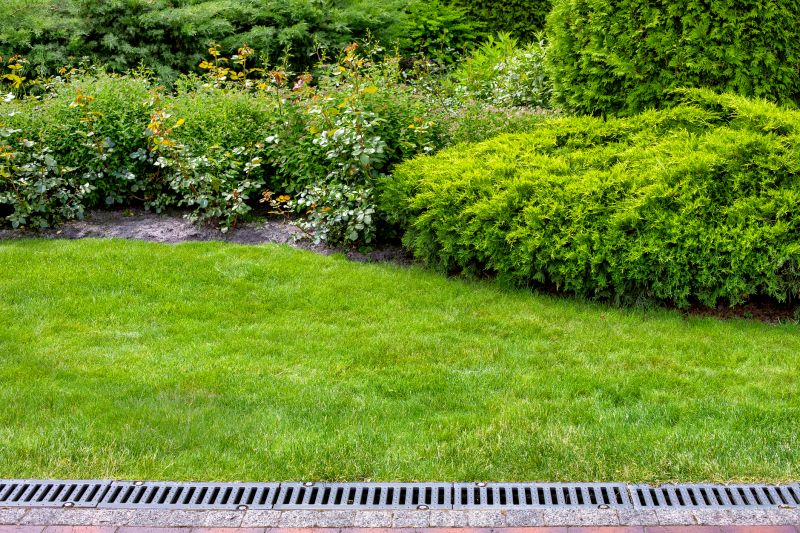 Landscape Drainage Specialists