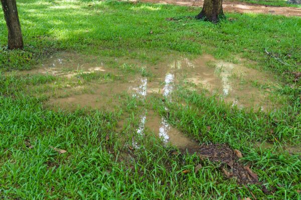 Cost of Storm Water Drainage Service in Huntersville