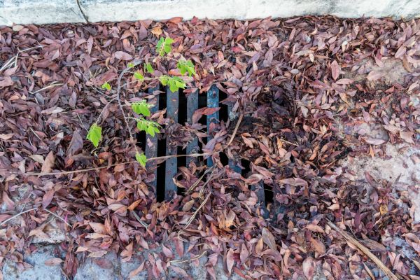 Cost of Yard Drain Unclogging in Huntersville
