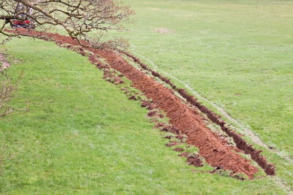 Cost of Swale Installation in Huntersville