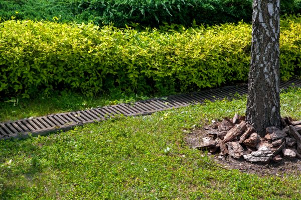 Cost of Residential Landscape Drainage in Huntersville