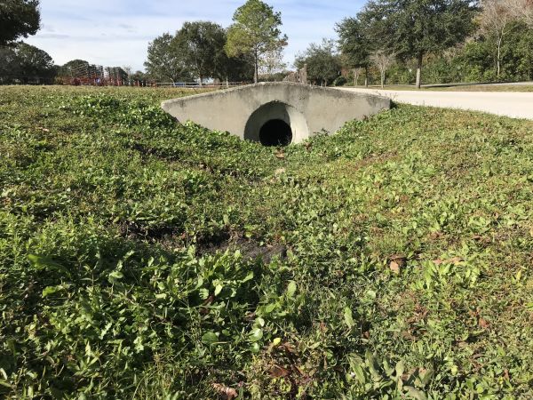 Cost of Swale Drainage Service in Huntersville